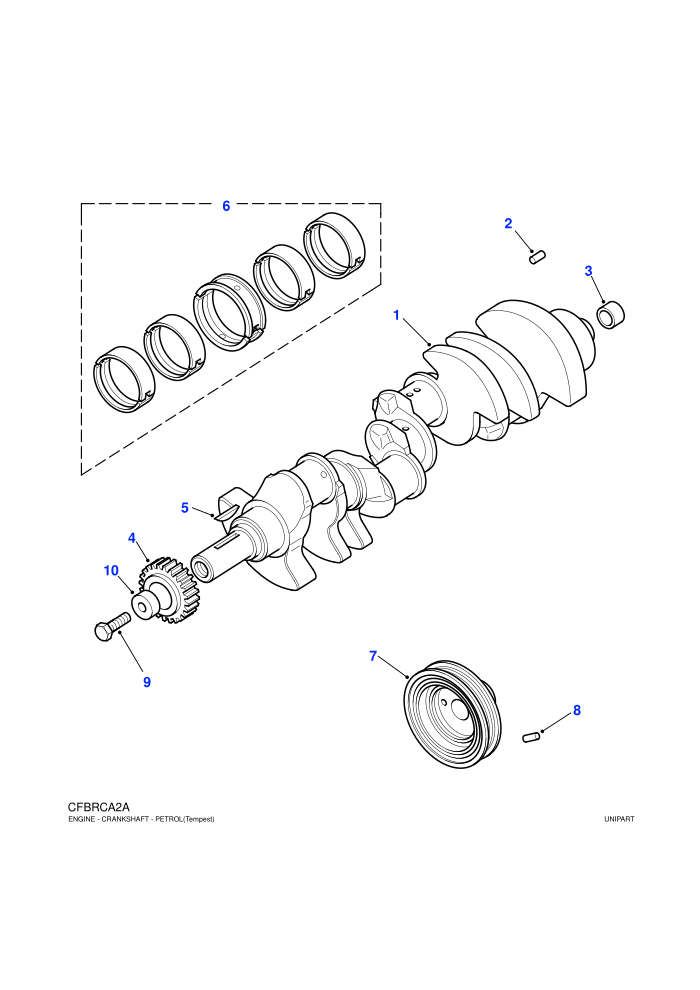 Crankshaft & Bearings (V8)
