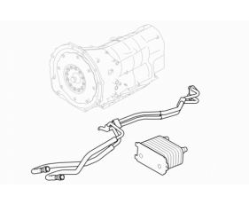 Auto Trans Cooling/Modules/Sensors