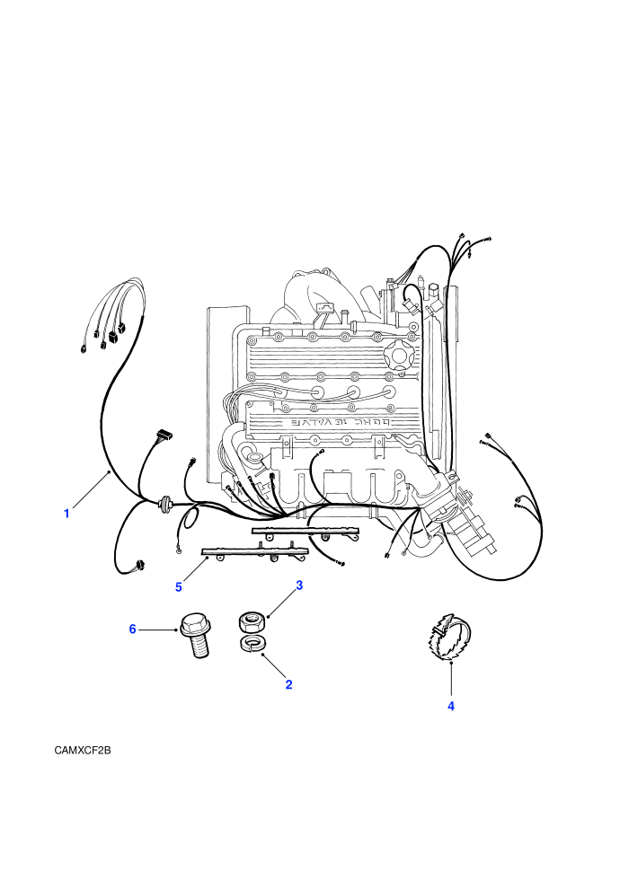 Engine Harness (4 Cylinder MPi T Series Petrol)((V)TOLA081991)