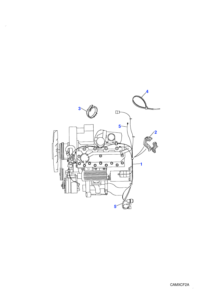 Engine Harness (4 Cylinder TDi)((V)TOLA081991)