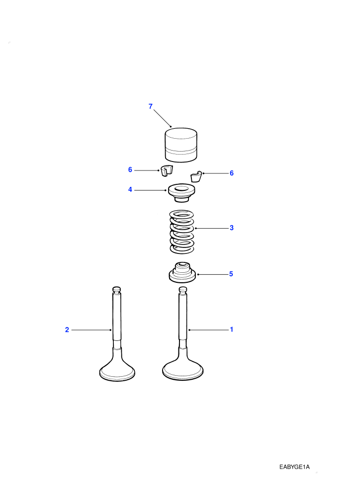 Valves & Tappets (2.0L I4 8V TCIE)