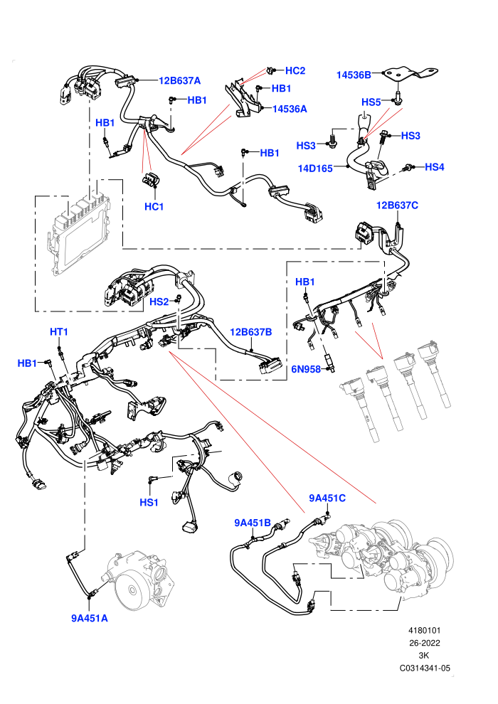 Engine Harness (4.4 V8 Turbo Petrol (NC10))(RH Side)