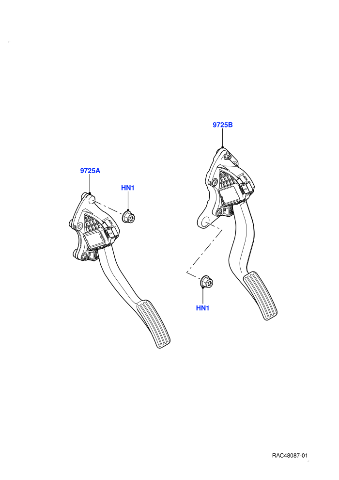 ACCELERATION/INJECTION PUMP (4.4L V8 Turbo Petrol(NC11))