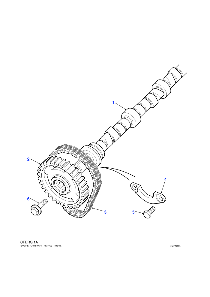 Camshaft (V8)