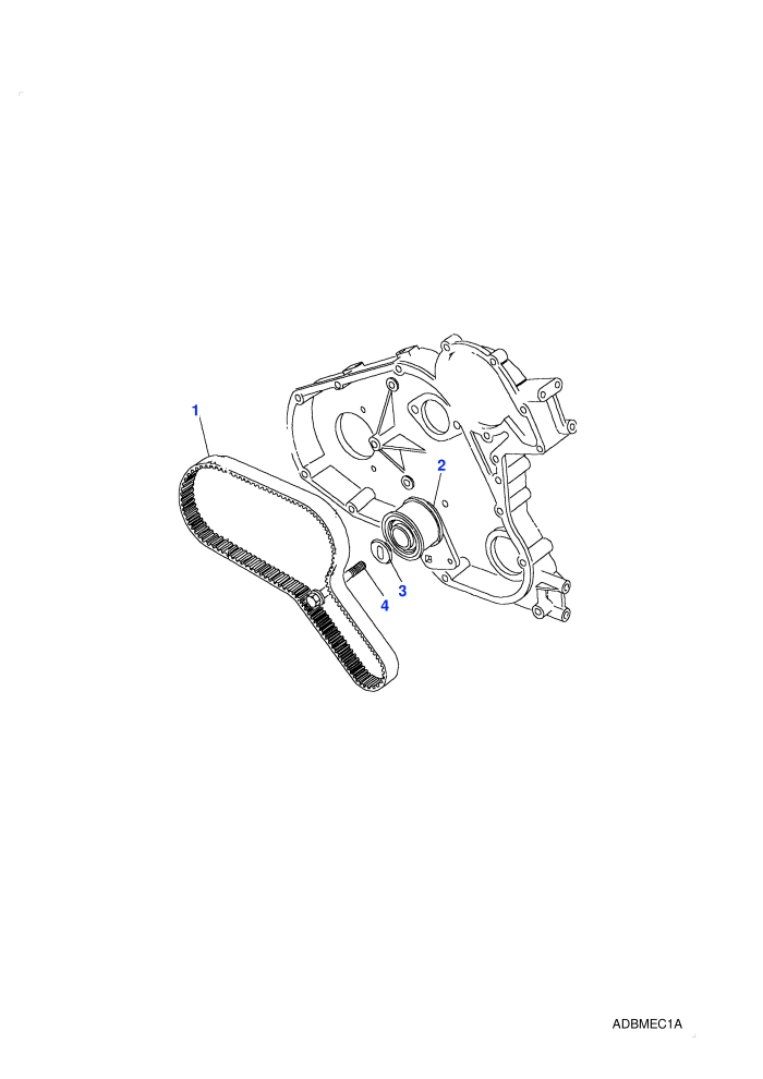 Timing Belt & Tensioner (2.5L I4 200 TDi L/R,5 Speed Manual Transmission,Less Catalyst)