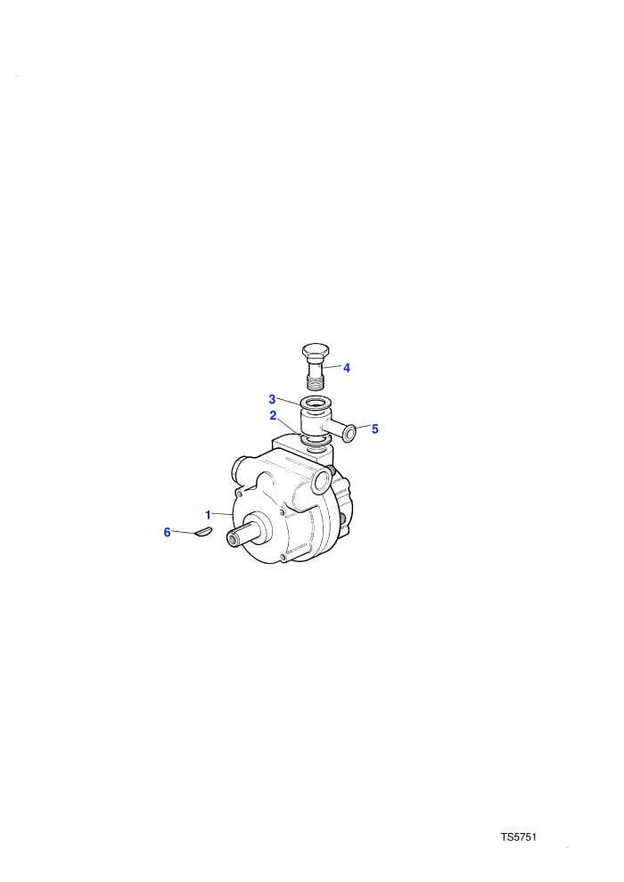 Power Steering Pump (Petrol V8 L/R EFI)