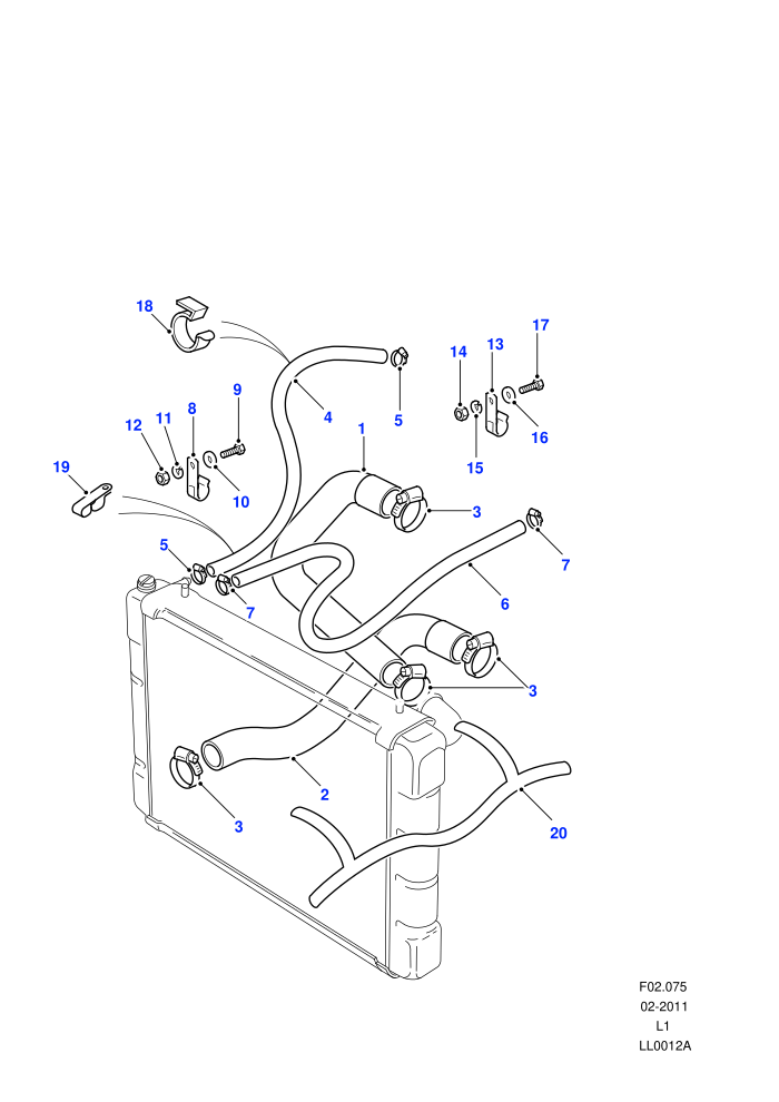 Radiator Hoses (V8 Petrol)