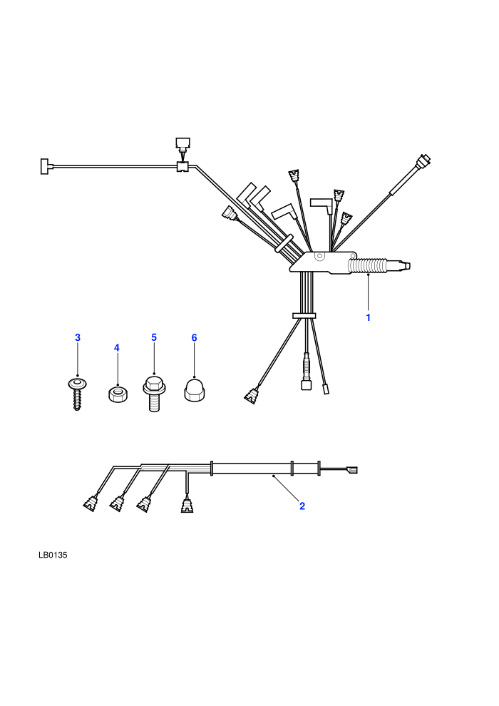 Engine (M47 2.0L I4 16V Diesel)