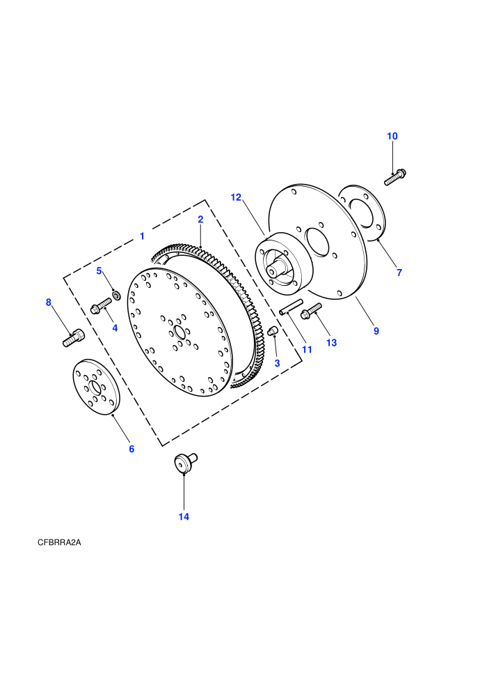 Drive Plate Automatic (Automatic Transmission,V8)