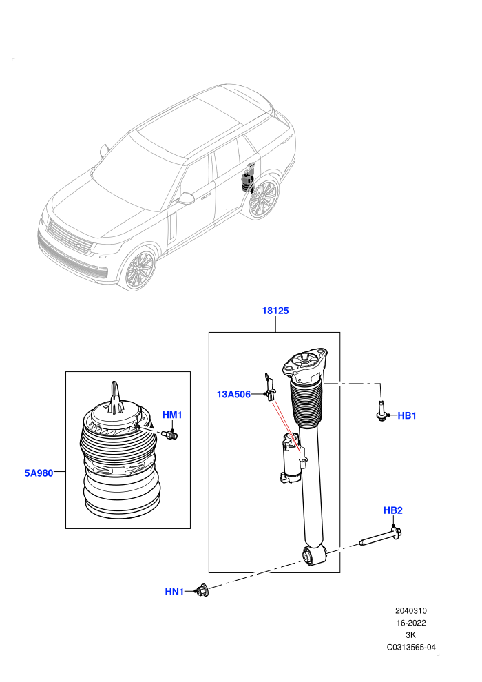 Rear Springs And Shock Absorbers