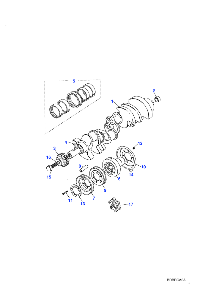 Crankshaft & Bearings (V8 EFI Petrol)