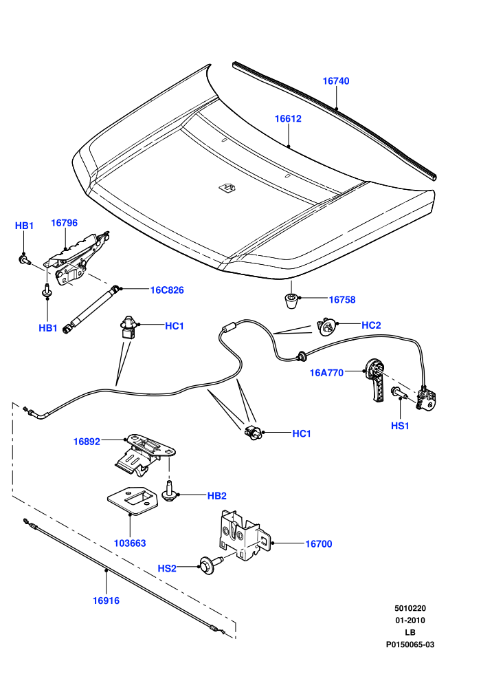 Hood And Related Parts