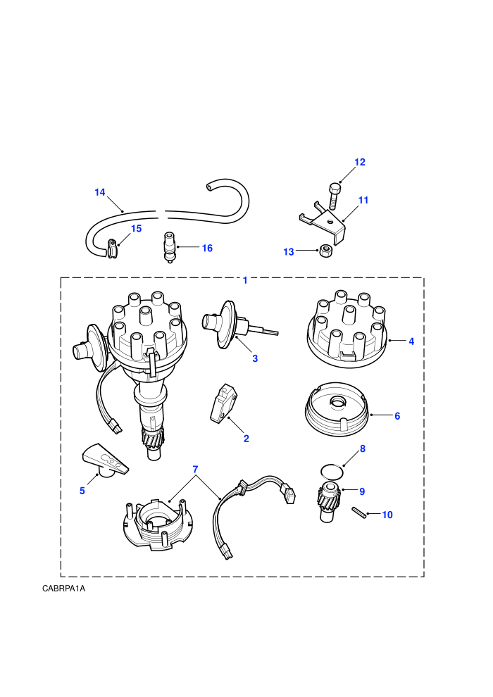 Distributor (V8 EFI Petrol)