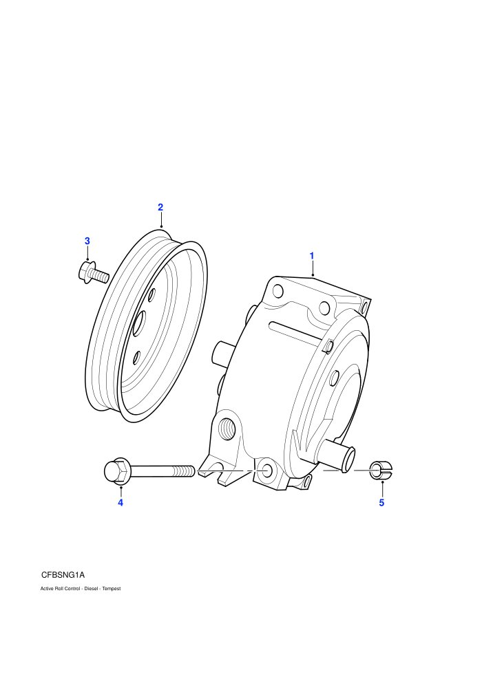 Pump - Active Cornering Enhancement (2.5L 5 Cyl Turbo Diesel)