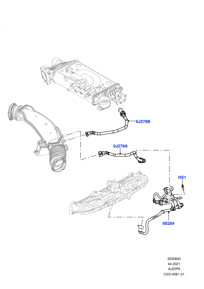 Evaporative Emission (3.0L AJ20P6 Petrol High,3.0L AJ20P6 Petrol PHEV)