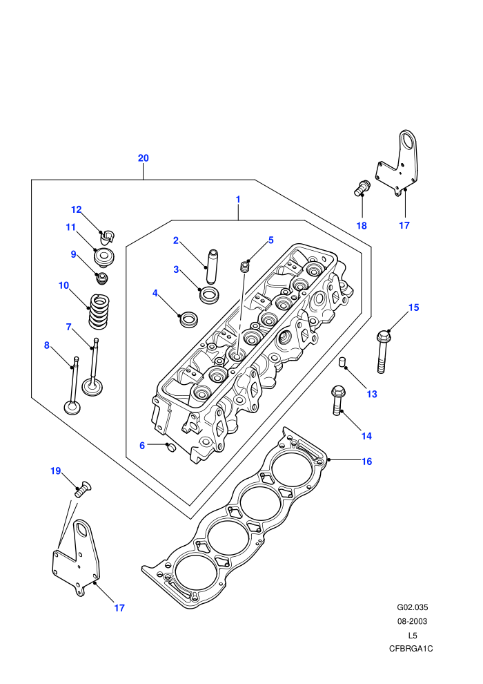 Cylinder Head (V8)