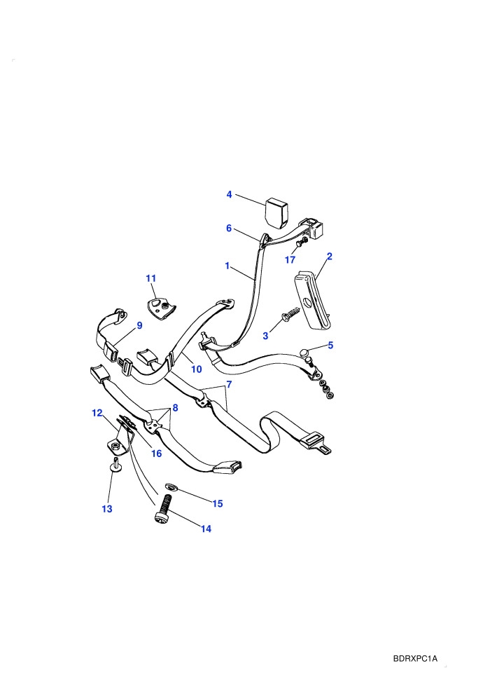 Seat Belt Assembly-Rear