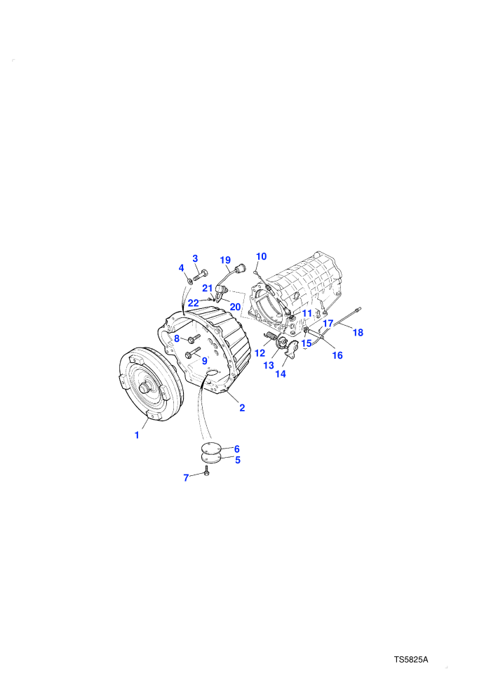 Torque Convertor & Housing (Automatic Transmission)