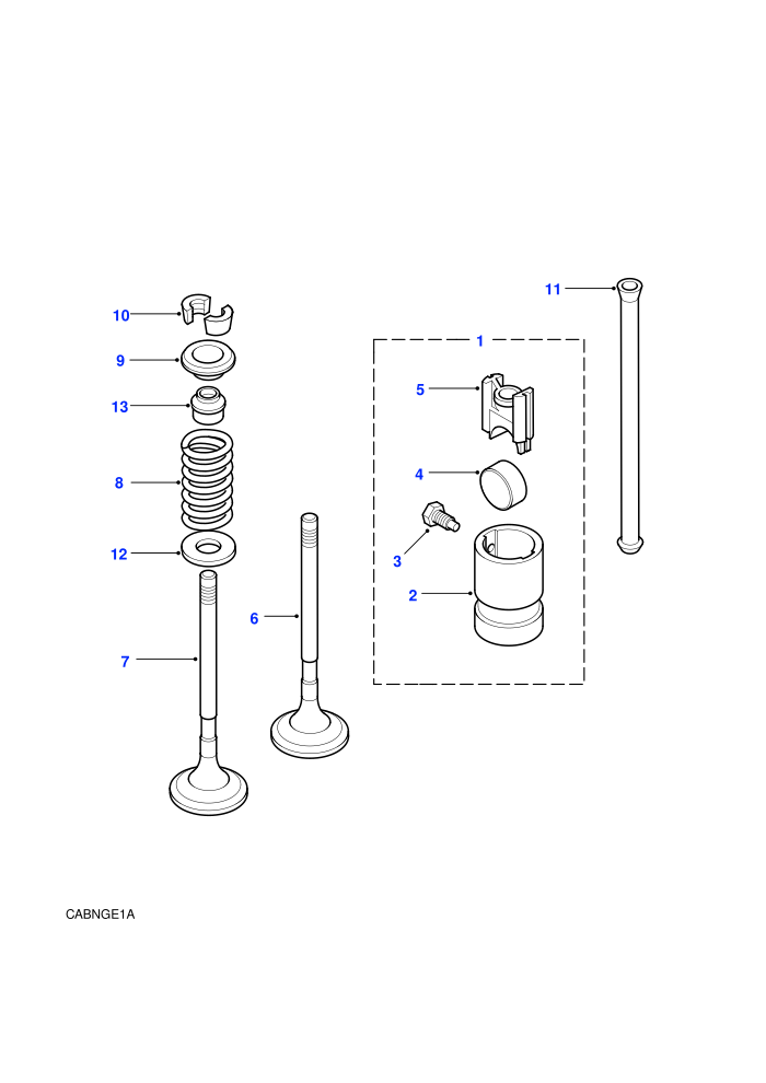 Valves & Tappets (2.5 Tdi EGR (Gem),2.5L 300 Tdi)((V)FROMMA081992)