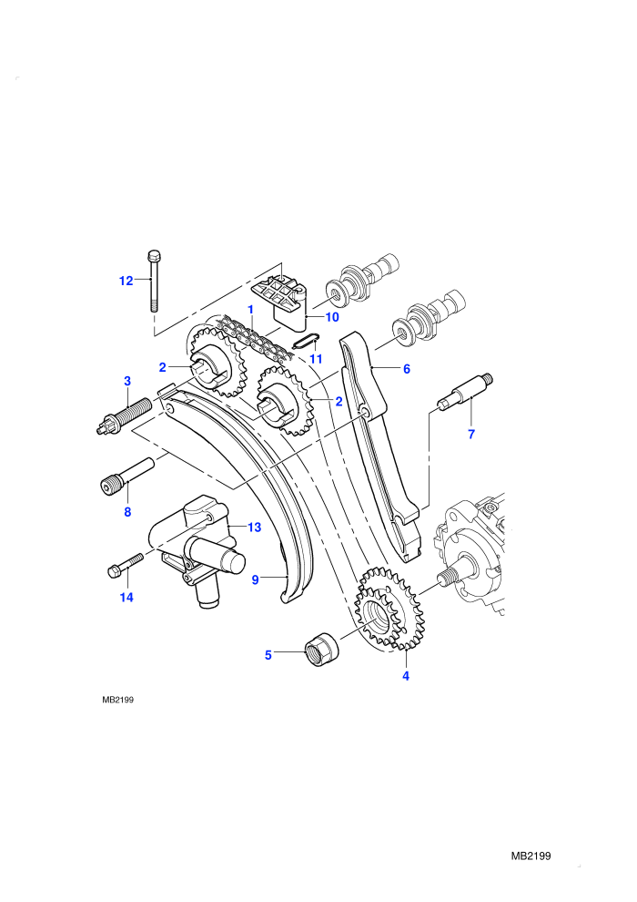 Timing Chain and Pulleys-Upper (M47 2.0L I4 16V Diesel)