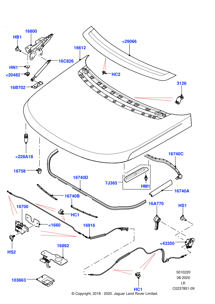 Hood And Related Parts