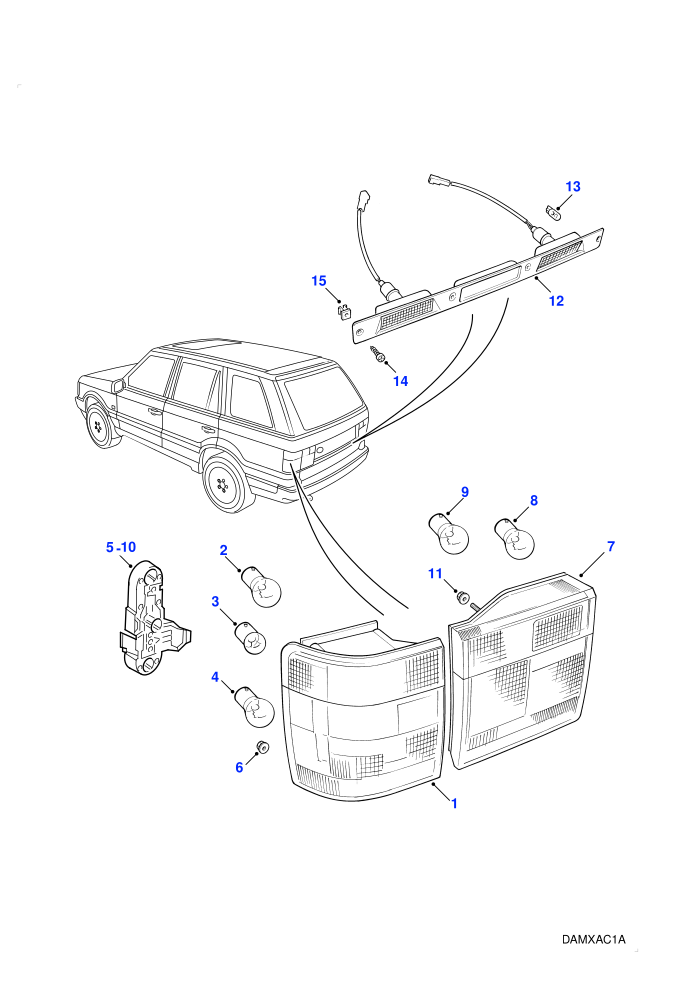 Rear Lamps