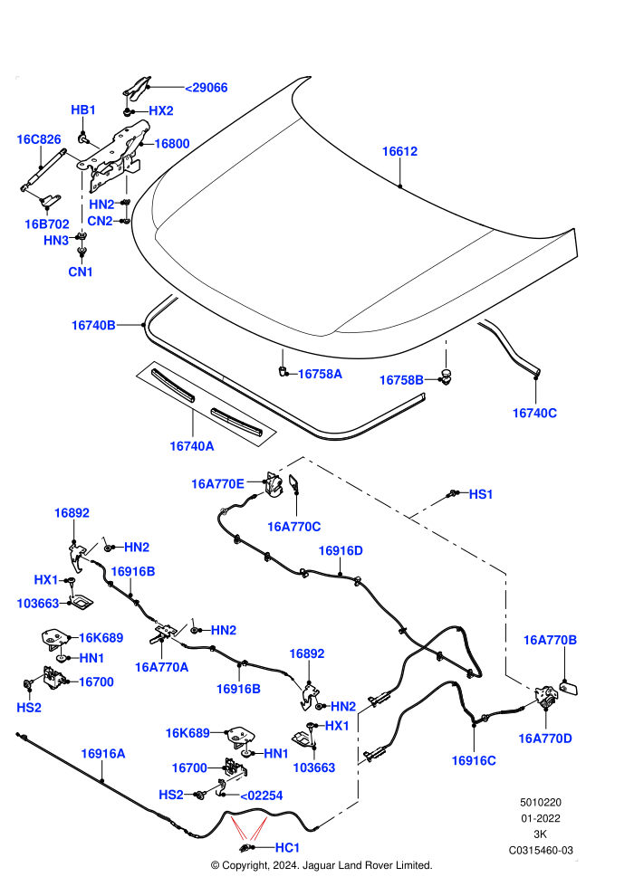 Hood And Related Parts