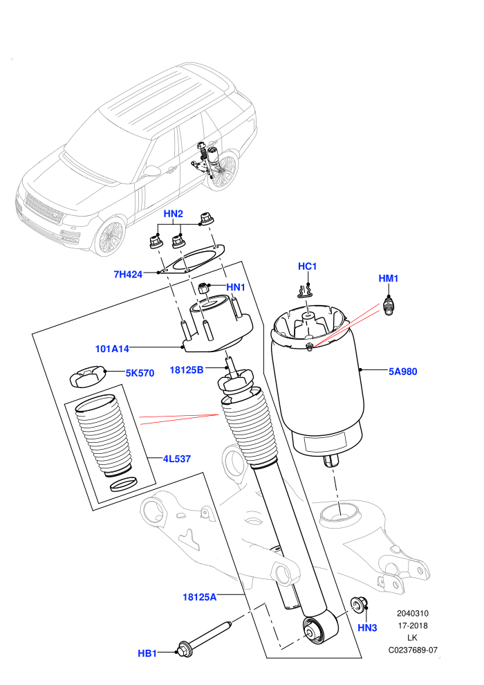 Rear Springs And Shock Absorbers