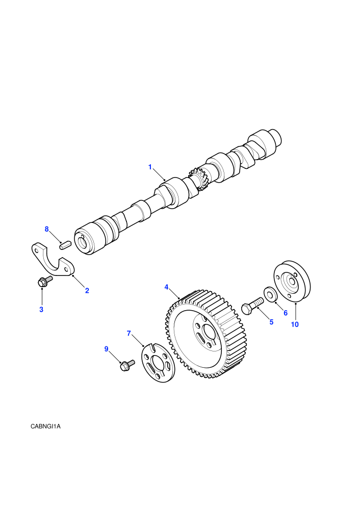 Camshaft (2.5 Tdi EGR (Gem),2.5L 300 Tdi)((V)FROMMA081992)