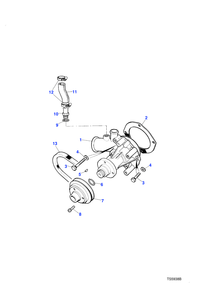Water Pump (2.4L 4 Cyl VM Turbo Diesel)