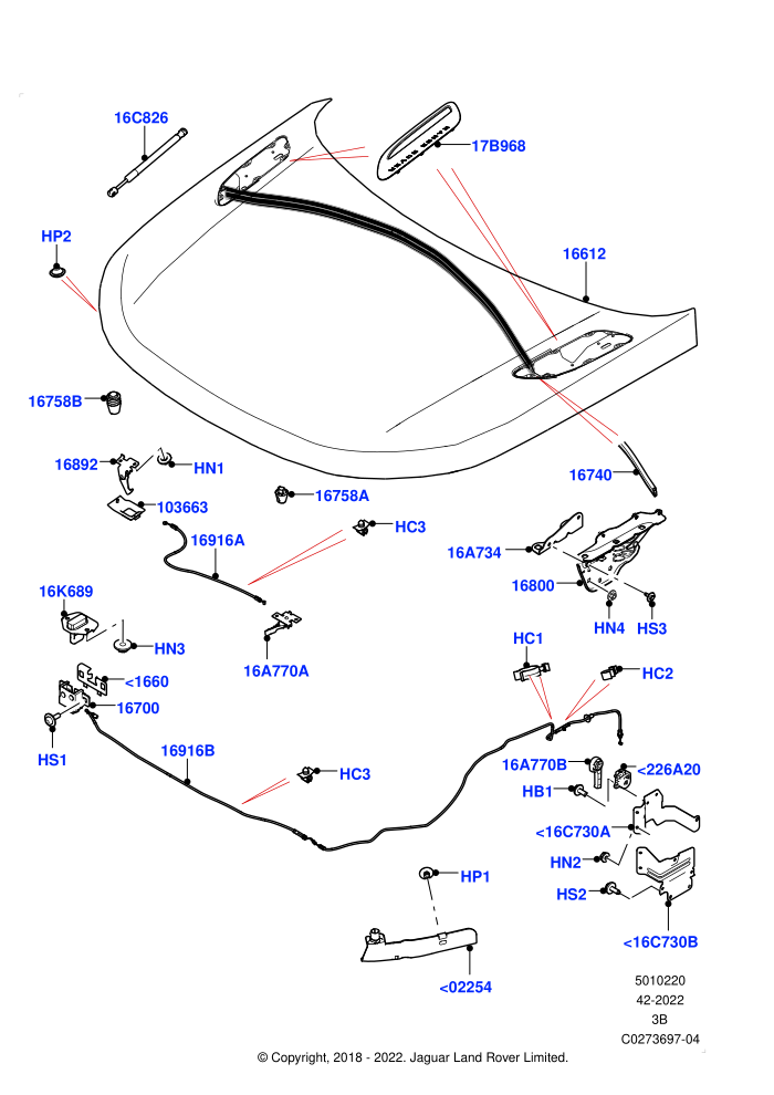 Hood And Related Parts