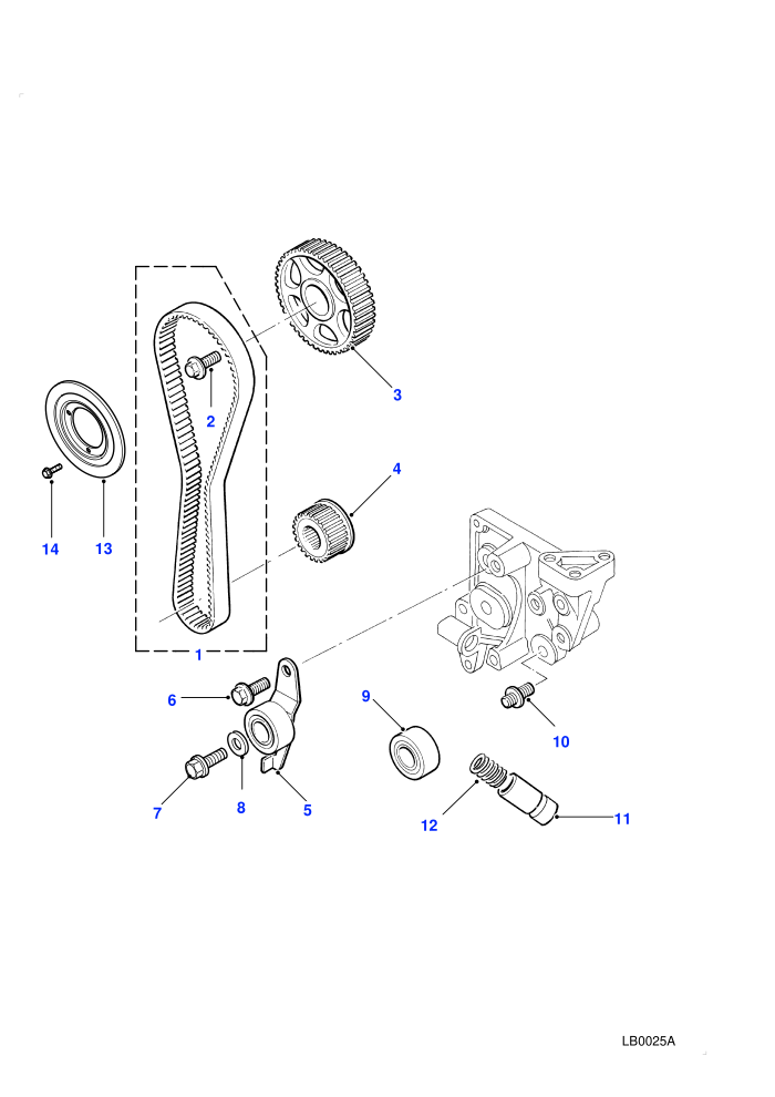 Timing Chain & Tensioner (2.0L I4 8V TCIE)