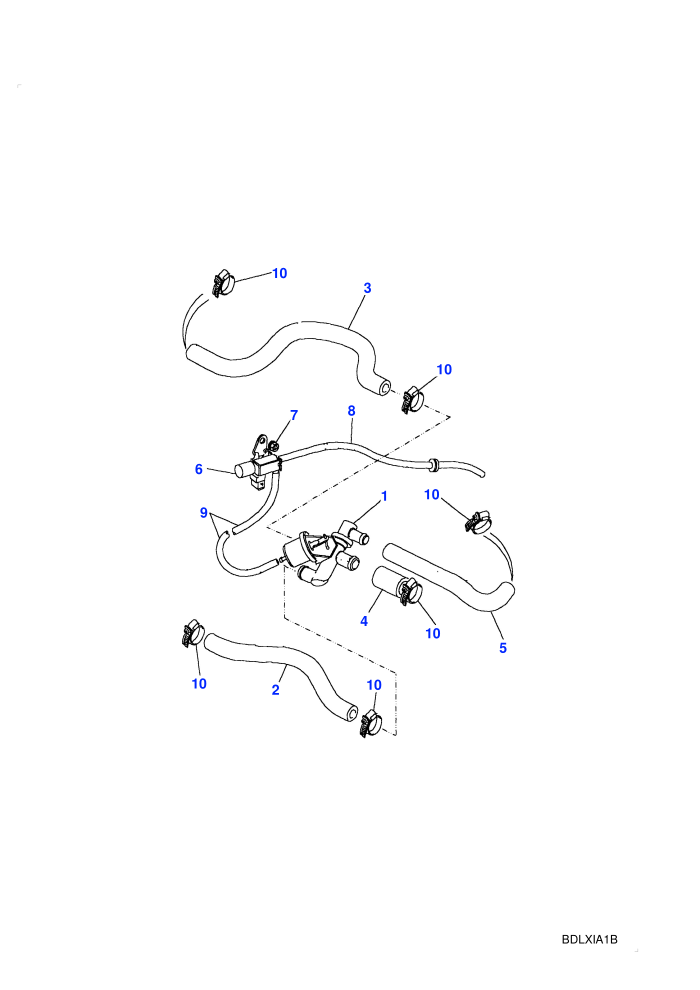 Hoses & Pipes (Petrol V8 L/R)((V)FROMMA647645)