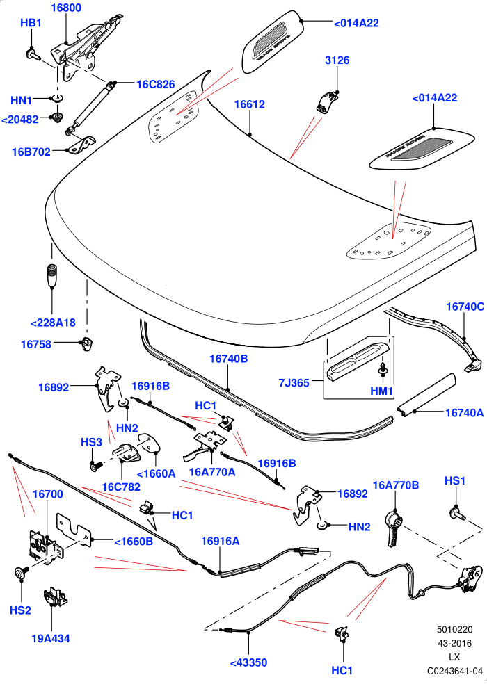 Hood And Related Parts