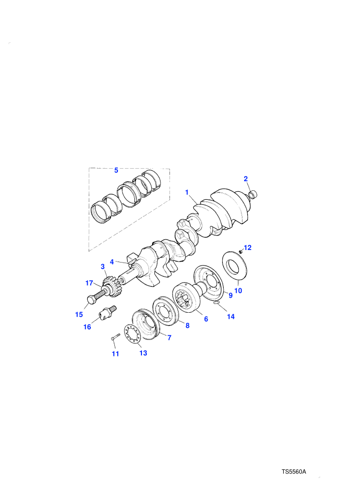 Crankshaft & Bearings (V8 Twin Carb L/R Petrol)