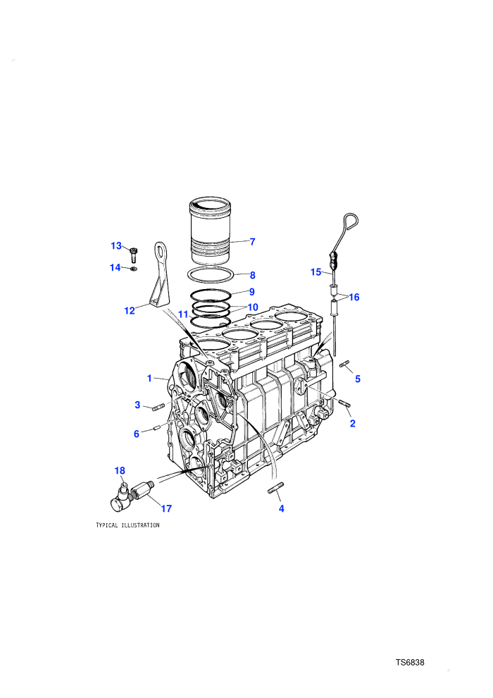 Cylinder Block (2.5l 4 Cyl VM Turbo Diesel)
