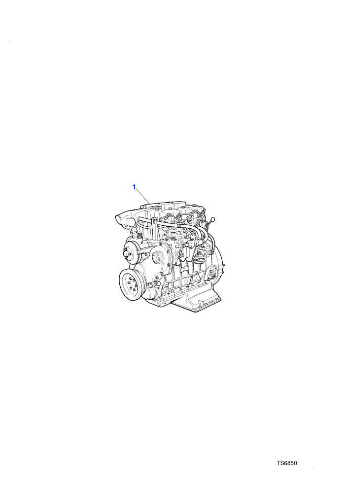 Engine Assembly (2.5l 4 Cyl VM Turbo Diesel)