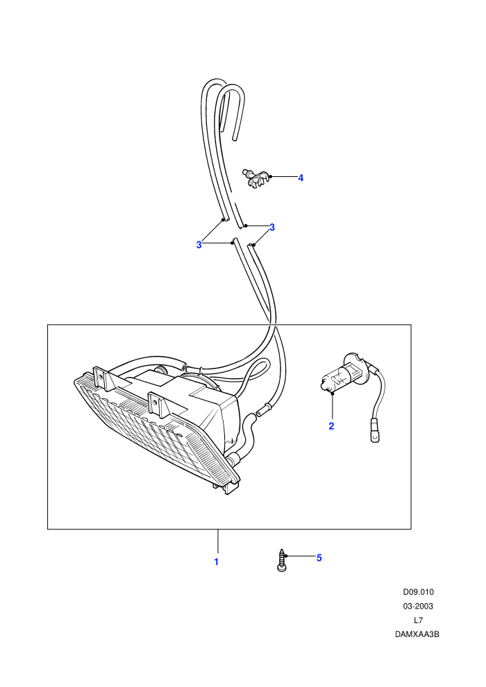 Fog Lamps-Front