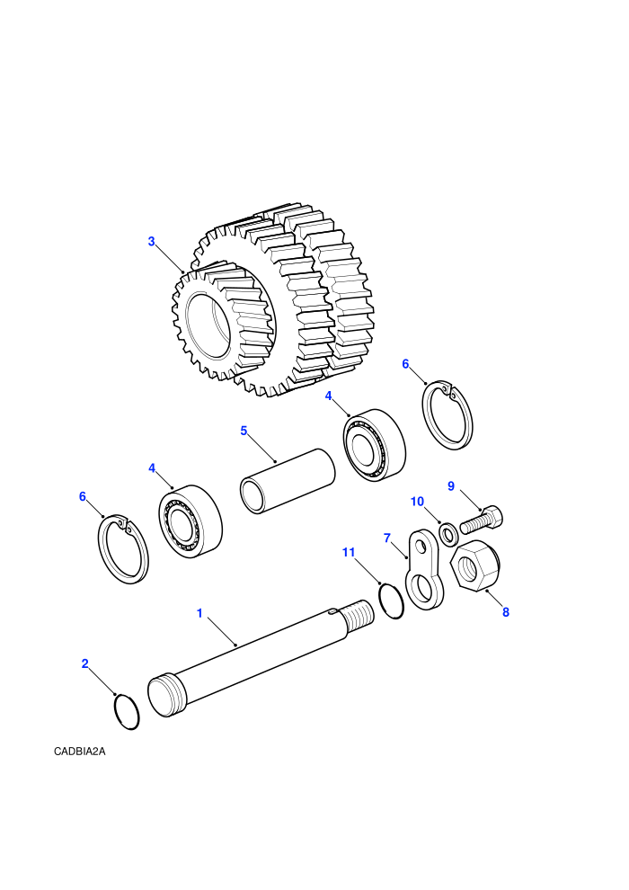 Intermediate Shaft