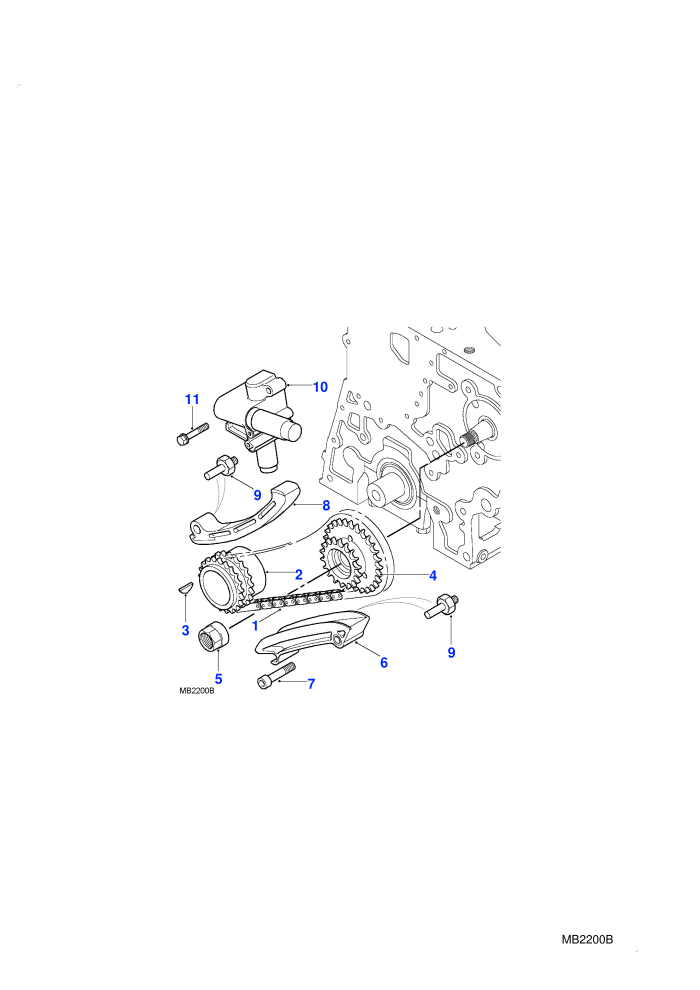 Timing Chain and Pulleys-Lower (M47 2.0L I4 16V Diesel)