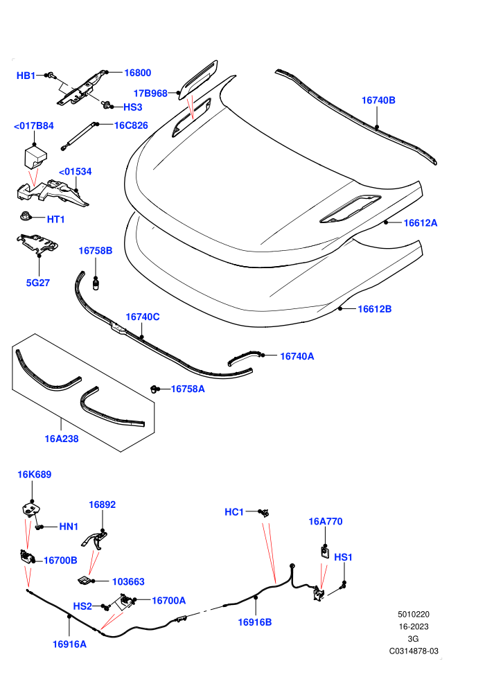 Hood And Related Parts (Itatiaia (Brazil))