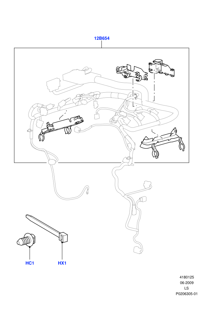 Wiring Clamps (Lion Diesel 2.7 V6 (140KW))((V)FROMAA000001)